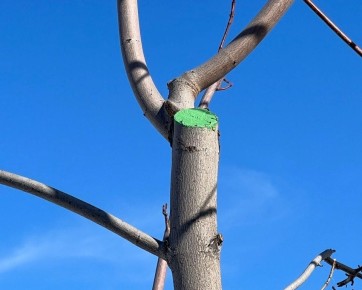 ��������� �������: ��� ��������� ������� ����� � ��������� ���� ������