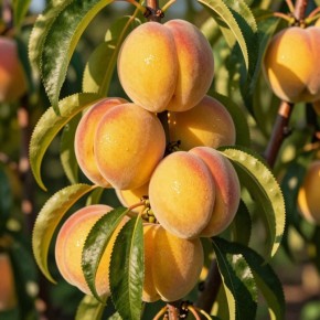 ������� ������ ��������� ������: ��� ��������� �� ������� ������ ������