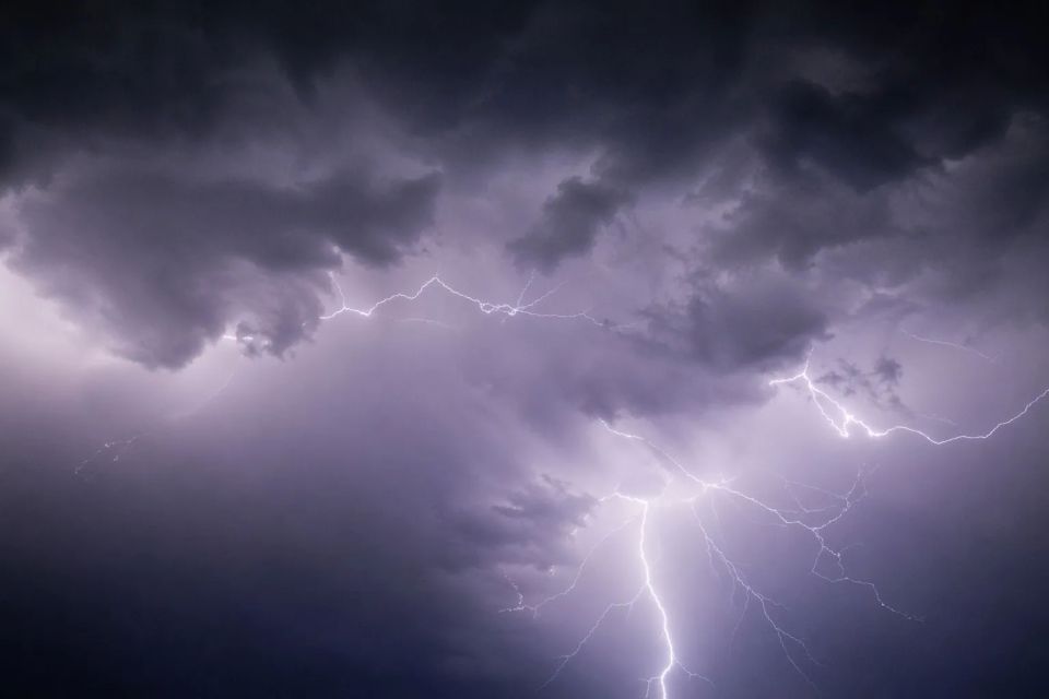 ������� �����, ���� � ����� � ��������� � ������� ������ �� 20-25 �/ ��������� ������� � ��� � 13.00-15.00 � �� ����� ����� 22 ������, � ����� 23 � 24 ������