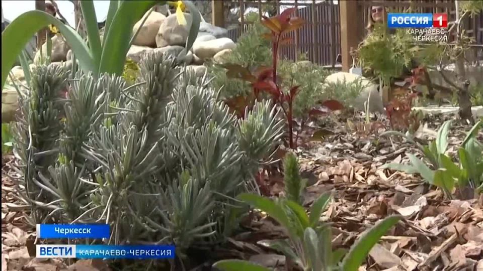 � �������� ����� ������������ �� ������ �����, �� � ������� �� ����������� ����� ���� �� ����� ������� ������������� - �����