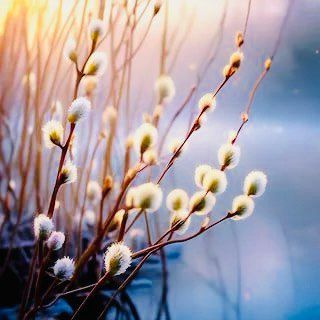 ����� � ����: ���������� ������� � �������� ����� ��� ������ ���������