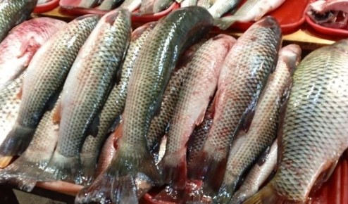 ������ ��������� ������� � ������ ������������� �������