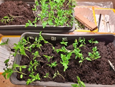 ��� ��������� ���������� ������� ���������, ������ � ���������� � 2026 ����