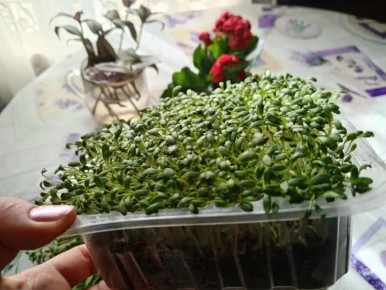 ������������ �� �������� ������� � ������ ����