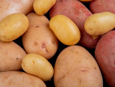 ��� �������� ������������� ������ ��������� � ������� ������� ��������