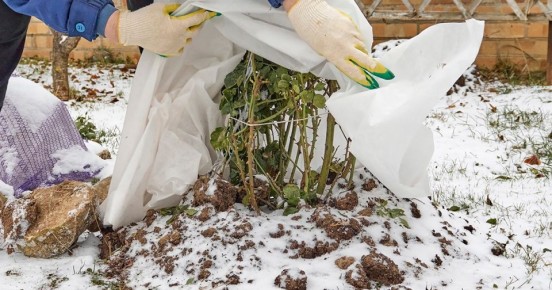 �������� ��� ������: ���� � ��������� �����