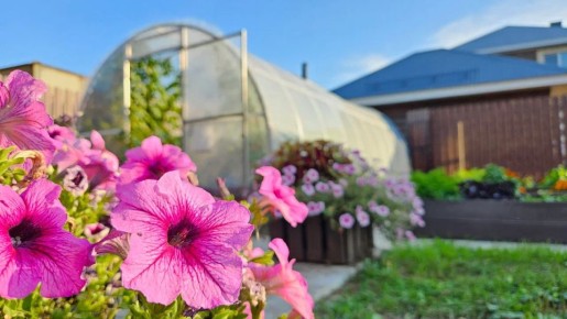 ����� �������: ��� �������� ������������ ������� �������� ������� � ����� ������