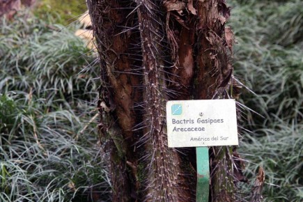 ���������� ������: ����������� �������� �������������� � ��������� ���������� ��������