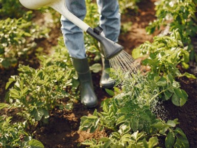 ��� �������� ���� �������� ��������� �������� � ����: ������� �������������