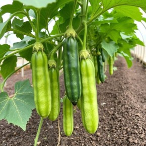 ��������� ����� ��� ������ �������: ��� �������� �������� ������ � �������