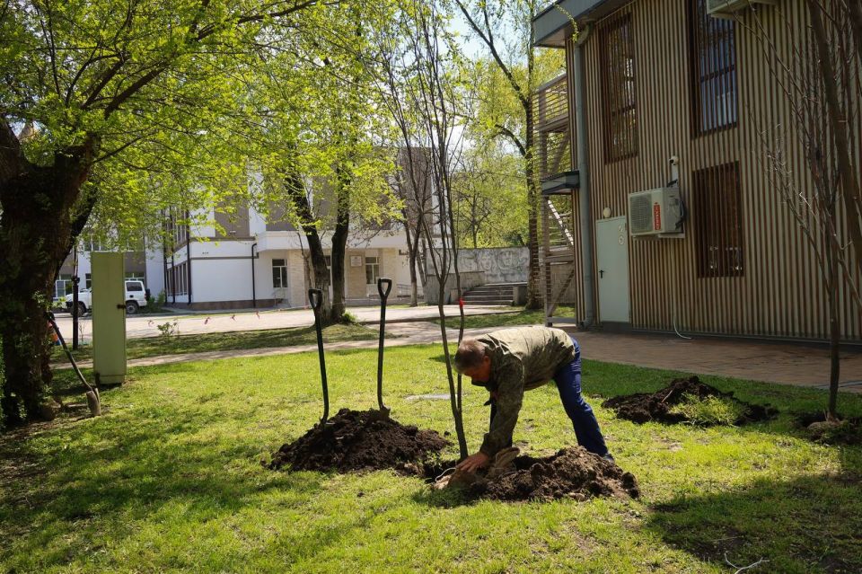 «Сад памяти»: еще 50 деревьев высадили в парке Победы в память о героях ВОВ «Сад памяти»: еще 50 деревьев высадили в парке Победы в память о героях ВОВ