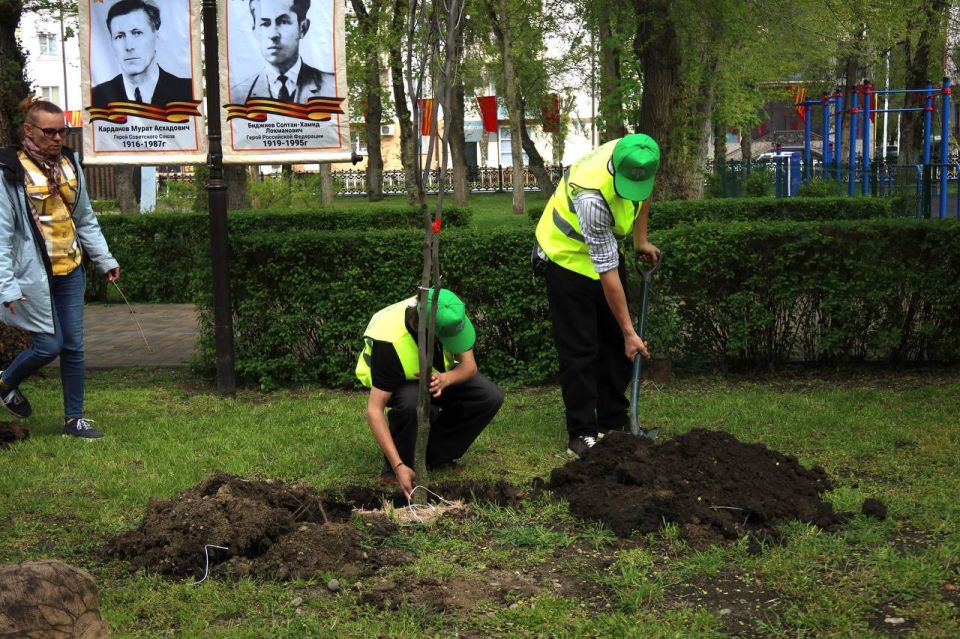 «Сад памяти»: еще 50 деревьев высадили в парке Победы в память о героях ВОВ