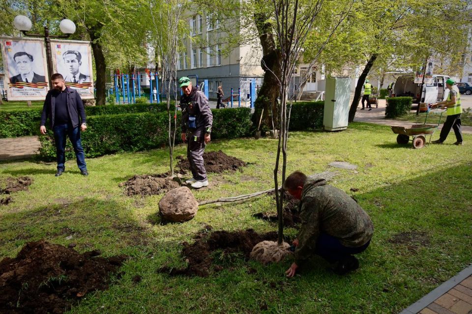 «Сад памяти»: еще 50 деревьев высадили в парке Победы в память о героях ВОВ «Сад памяти»: еще 50 деревьев высадили в парке Победы в память о героях ВОВ