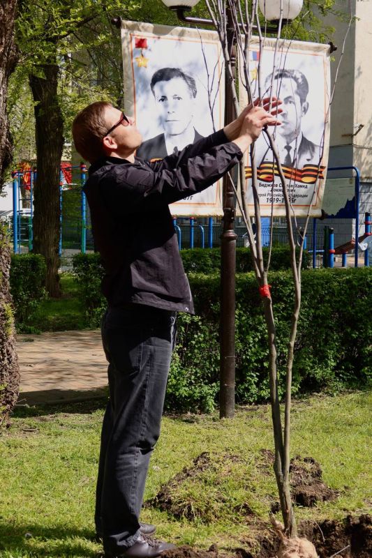 «Сад памяти»: еще 50 деревьев высадили в парке Победы в память о героях ВОВ «Сад памяти»: еще 50 деревьев высадили в парке Победы в память о героях ВОВ