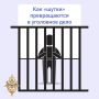 Ложное сообщение о теракте или других преступлениях — это не шутка, а уголовно наказуемое деяние