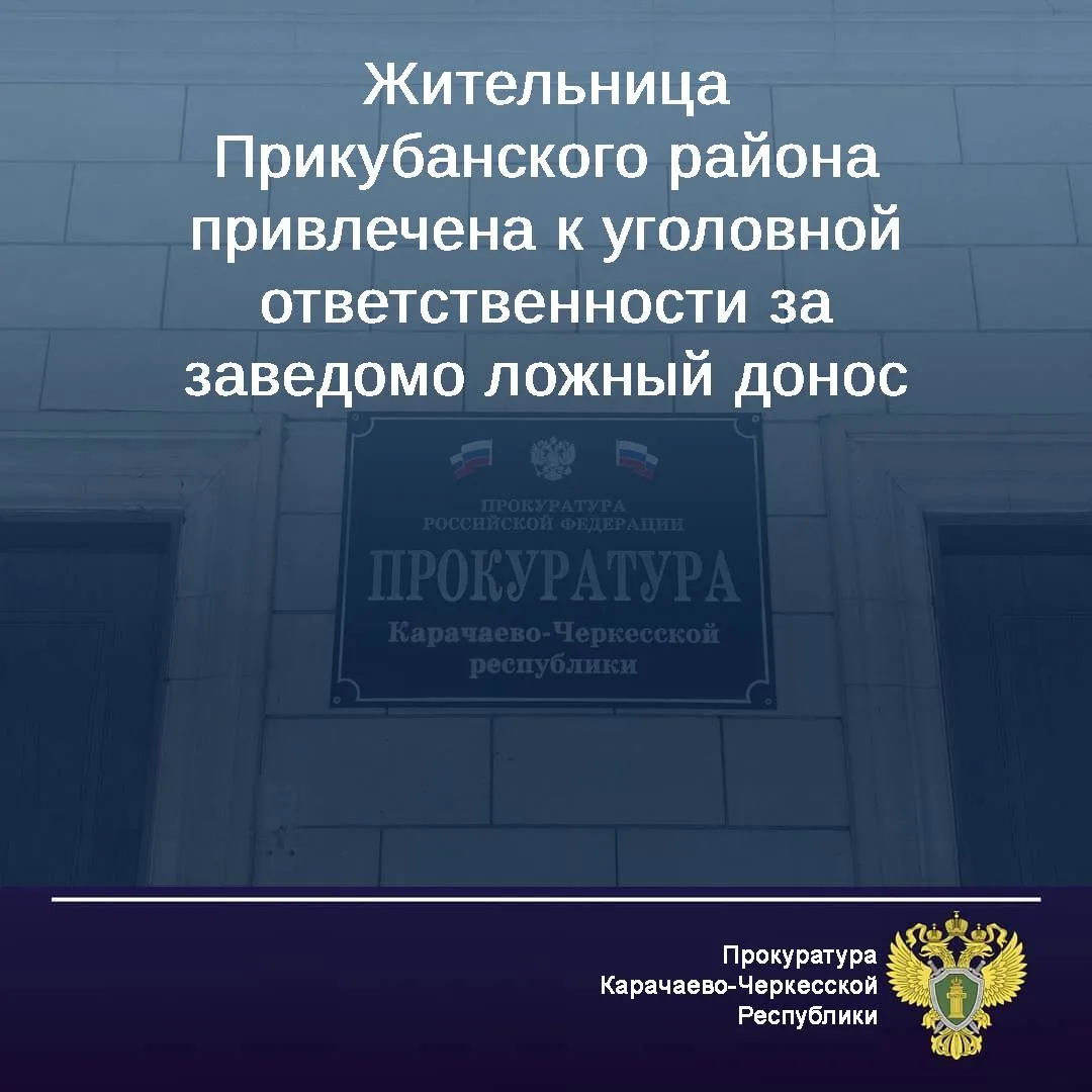 Прикубанский районный суд вынес приговор по уголовному делу в отношении местной жительницы