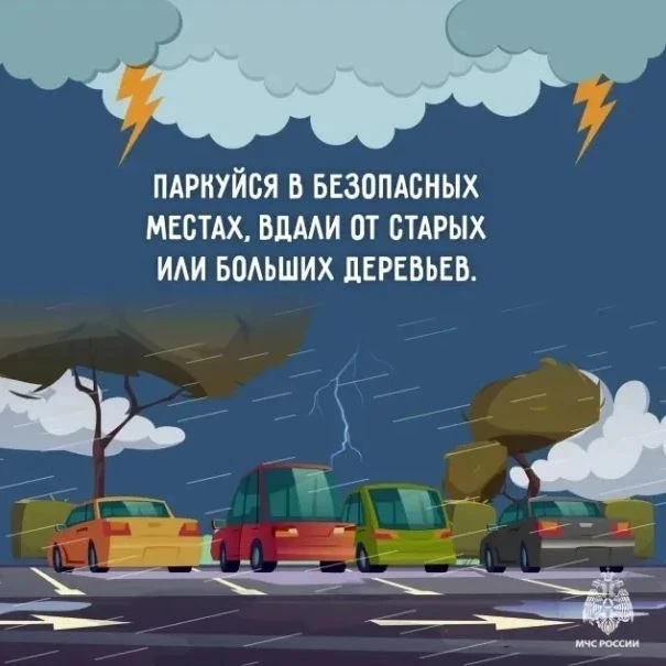 Соблюдай правила безопасного поведения в непогоду Соблюдай правила безопасного поведения в непогоду