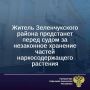 Прокуратура Зеленчукского района направила в суд уголовное дело в отношении 43-летнего местного жителя