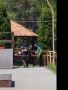 � ���� ����������� ���� �������� ������������ ������ ��� ������ �� �. ��������� �������� ����������, �� ������� ������������� ����������� �������� ������������������ �� �����-�������� ����� "������� ������"