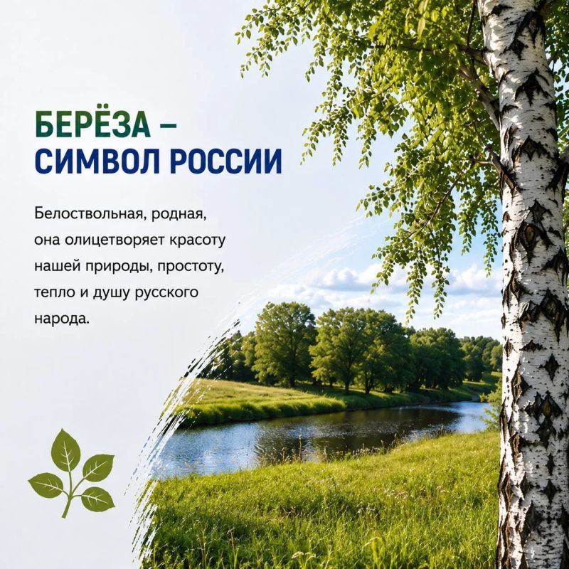Россия - страна бескрайних дорог Россия - страна бескрайних дорог