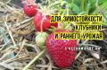 ������� �������������� ����� �� ���������: ��� ������ ���� ��� �������� ������