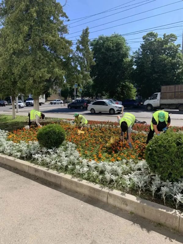 В Черкесске продолжаются плановые работы по покосу травы и высадке цветов В Черкесске продолжаются плановые работы по покосу травы и высадке цветов