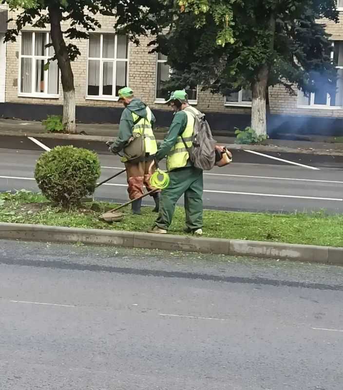 В Черкесске продолжаются плановые работы по покосу травы и высадке цветов В Черкесске продолжаются плановые работы по покосу травы и высадке цветов