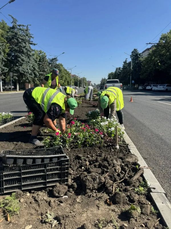 В Черкесске продолжаются плановые работы по покосу травы и высадке цветов В Черкесске продолжаются плановые работы по покосу травы и высадке цветов