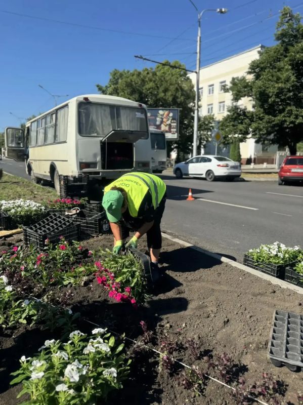 В Черкесске продолжаются плановые работы по покосу травы и высадке цветов В Черкесске продолжаются плановые работы по покосу травы и высадке цветов