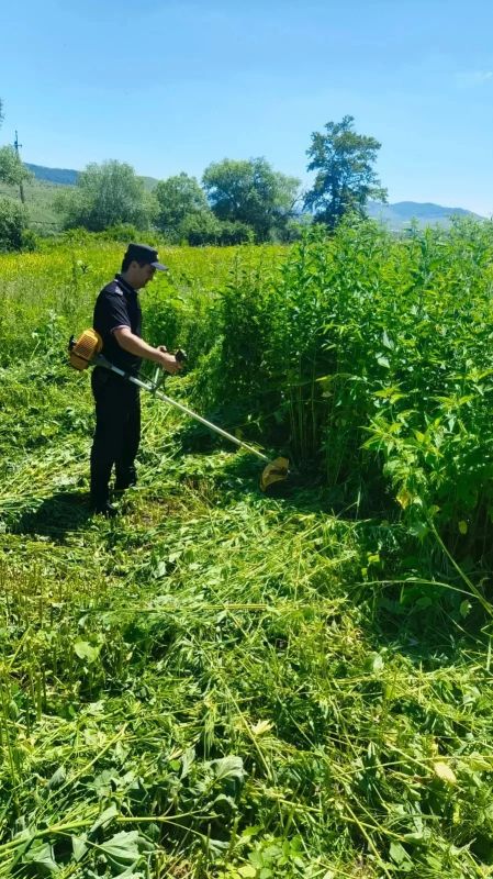 Полицейские Карачаево-Черкесской Республики продолжают межведомственную оперативно-профилактическую операцию «Мак» Полицейские Карачаево-Черкесской Республики продолжают межведомственную оперативно-профилактическую операцию «Мак»