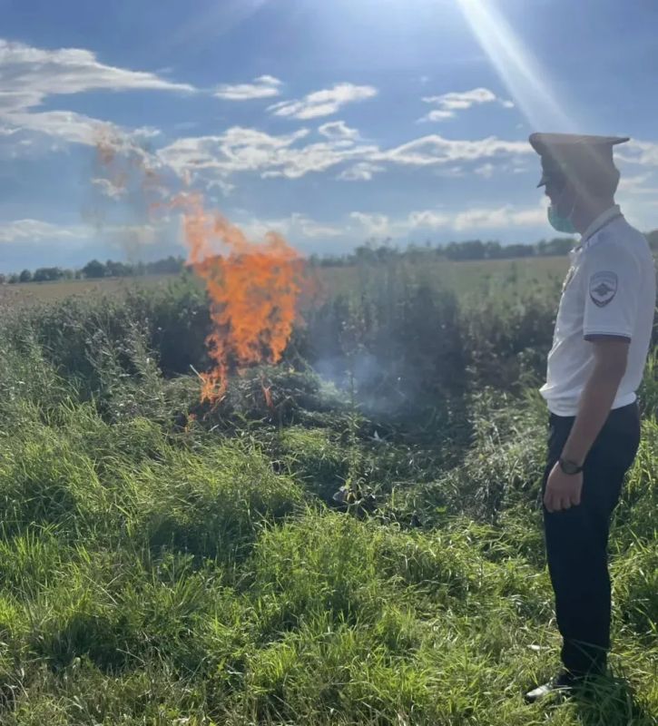Полицейские Карачаево-Черкесской Республики продолжают межведомственную оперативно-профилактическую операцию «Мак» Полицейские Карачаево-Черкесской Республики продолжают межведомственную оперативно-профилактическую операцию «Мак»