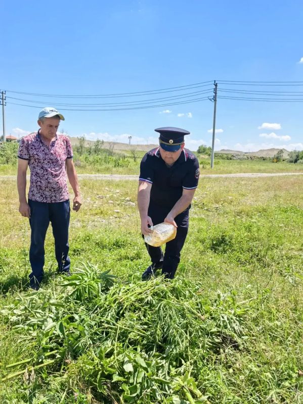 Полицейские Карачаево-Черкесской Республики продолжают межведомственную оперативно-профилактическую операцию «Мак» Полицейские Карачаево-Черкесской Республики продолжают межведомственную оперативно-профилактическую операцию «Мак»