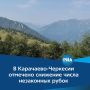 По данным Минприроды КЧР, государственные лесные инспекторы провели 2,5 тысячи патрулирований и выявили 9 случаев незаконной вырубки — на три меньше, чем за аналогичный период прошлого года