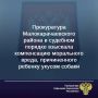 Прокуратура Малокарачаевского района провела проверку в связи с обращением о защите интересов малолетней, причиненного укусом бездомной собаки