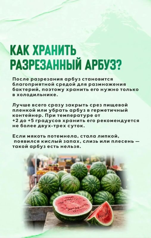 Арбузы появляются на прилавках задолго до начала массового сезона, однако специалисты советуют не торопиться с покупкой Арбузы появляются на прилавках задолго до начала массового сезона, однако специалисты советуют не торопиться с покупкой
