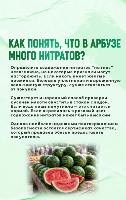 Арбузы появляются на прилавках задолго до начала массового сезона, однако специалисты советуют не торопиться с покупкой Арбузы появляются на прилавках задолго до начала массового сезона, однако специалисты советуют не торопиться с покупкой