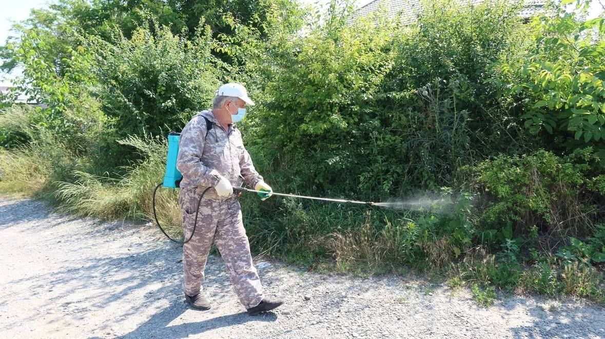Алексей Баскаев: В Черкесске обработают около 100 гектаров амброзии Алексей Баскаев: В Черкесске обработают около 100 гектаров амброзии