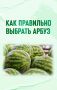 Арбузы появляются на прилавках задолго до начала массового сезона, однако специалисты советуют не торопиться с покупкой