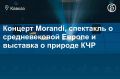 Куда сходить на Северном Кавказе 24, 25 и 26 июля