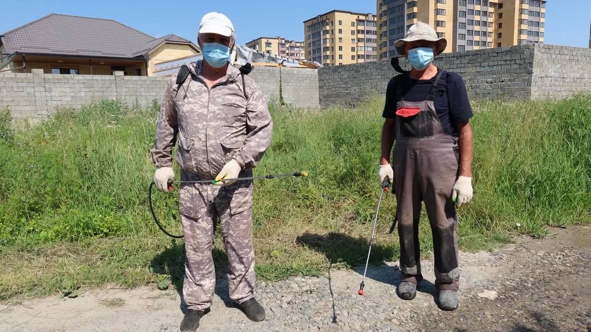 Алексей Баскаев: В Черкесске обработают около 100 гектаров амброзии Алексей Баскаев: В Черкесске обработают около 100 гектаров амброзии