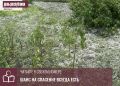 Всегда тяжело видеть уничтоженные стихией результаты своих трудов