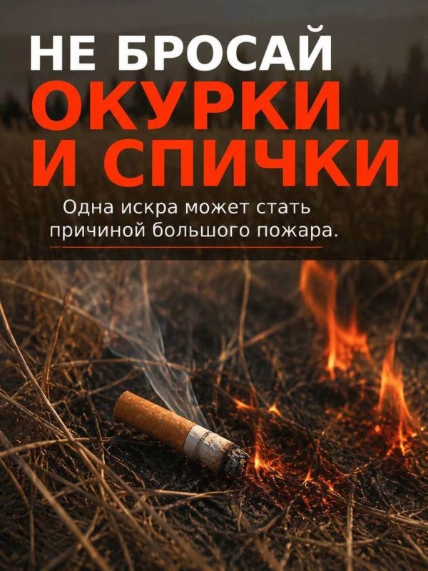 Жаркая и сухая погода — время повышенной пожарной опасности Жаркая и сухая погода — время повышенной пожарной опасности