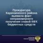 Местная жительница обратилась в региональное министерство сельского хозяйства с поддельным закупочным актом, датированным 01.06.2025, о приобретении кормов для сельскохозяйственных животных