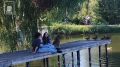 Доброе утро!. Летнее пятничное настроение: гулять в парке, вдыхать запах травы, слушать шелест листвы и ловить тёплые лучи солнца