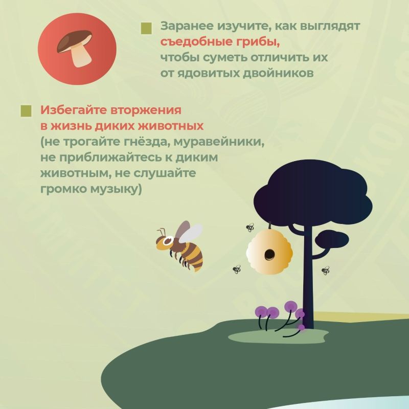 Региональное следственное управление призывает граждан соблюдать меры безопасности при собирании грибов и ягод Региональное следственное управление призывает граждан соблюдать меры безопасности при собирании грибов и ягод