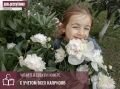 Пионы — цветы с характером и не прощают ошибок с пересадкой и делением