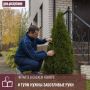 Все чаще горожане украшают свои приусадебные участки хвойными деревьями
