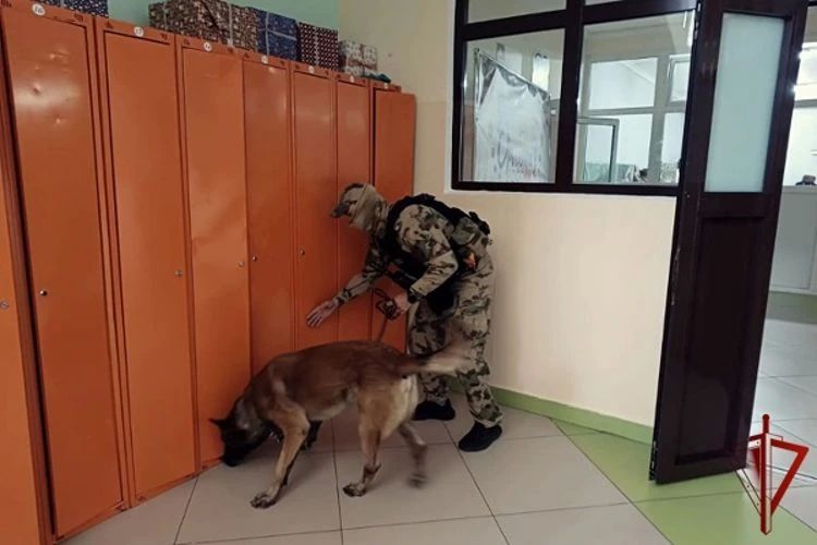 В Карачаево-Черкесии сотрудники ОМОН обследуют избирательные участки В Карачаево-Черкесии сотрудники ОМОН обследуют избирательные участки