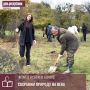 20 сентября — День работников леса и лесоперерабатывающей промышленности