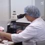 Дышите полной грудью. С 21 по 27 сентября в России проходит масштабная информационная кампания «Неделя сохранения здоровья лёгких»